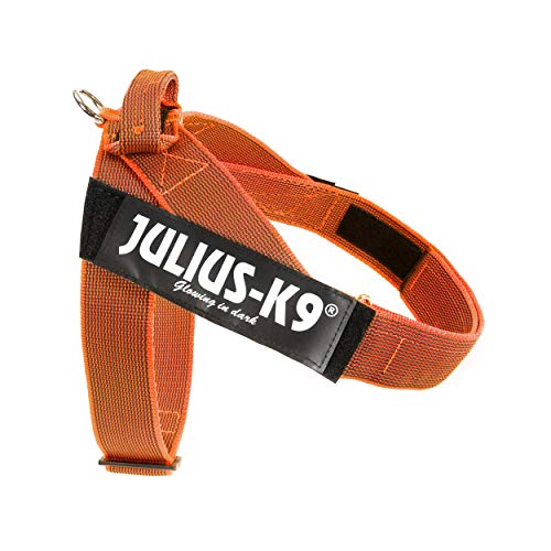 Julius-K9 Color & Gray Arnés De Correa De IDC, Tamaño: 2, Color: Naranja-Gris