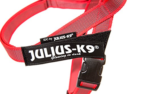Julius-K9 Color & Gray Arnés De Correa De IDC, Tamaño Mini, Rojo-Gris