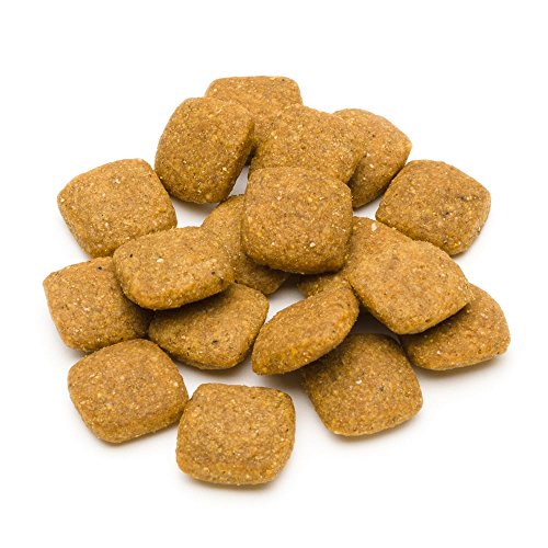 Marca Amazon - Solimo - Alimento seco completo para perro adulto rico en pollo con guisantes, 2 Packs de 5kg