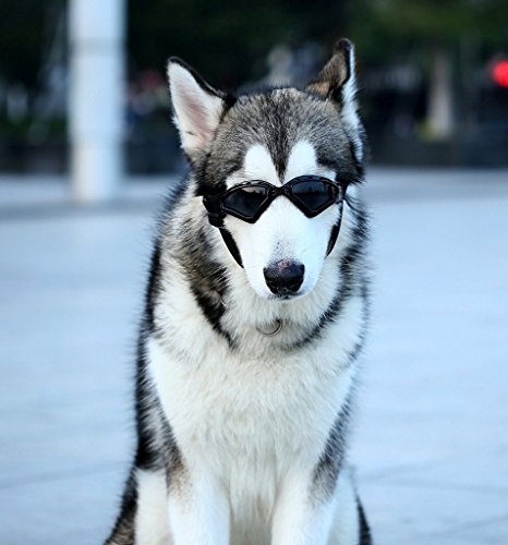 Namsan perro gafas de V-Sonnenbrille UV-protección Fashion Eyewear Goggles para perros grandes pájaros (negro & gris) negro negro large