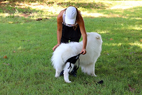 Nature Pet – Ayuda Trasera para Andar para Perros, Ayuda de rehabilitación para Perros con Problemas en la Columna Vertebral, la Cadera y Las Rodillas, Marca Principal de Instrumentos de Neopreno.
