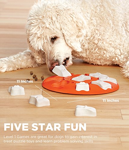 Nina Ottosson Dog Smart - Dispensador Interactivo De Recompensas - Rompecabezas para Perros, Un tamaño, Naranja 477 g