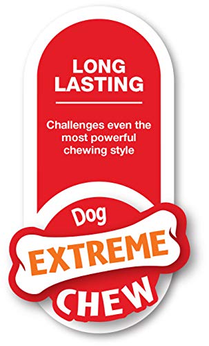 Nylabone Hueso con Nudo Extreme Alternativo al Cuero - Juguete masticable para higiene Dental de los Perros - Sabor a Ternera - Grande - para Perros de hasta 11 kg