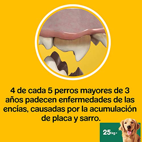 Pedigree Pack de 7 Dentastix Fresh de uso diario para la limpieza dental de los perros y contra mal aliento, para perros grandes (Pack de 10)