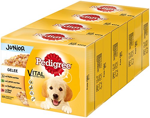 PEDIGREE Vital Protection Comida para perros con pollo y cordero en gelatina, 4 cajas x 12 x 100 g, 4.8 kg