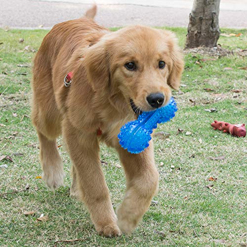 Petper - Juguetes para perros, juguetes de hueso estimuladores de la inteligencia con partículas de masaje (azul)