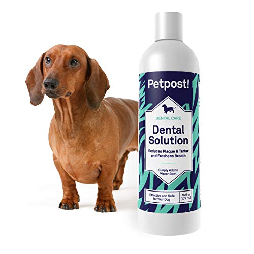 Petpost | Solución Dental para Perros - Aditivo De Agua Que Mata El Mal Aliento - Plaquetas Y Caries Dental - Solución De Limpieza Natural para Los Dientes