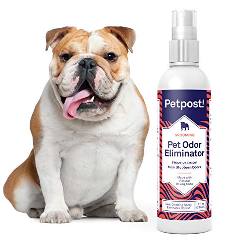Petpost | Spray eliminador de olores de Mascotas para Perros y Gatos - Desodorante naturalmente Efectivo y aniquilador del Mal Olor - para rociar a su Mascota o en el hogar