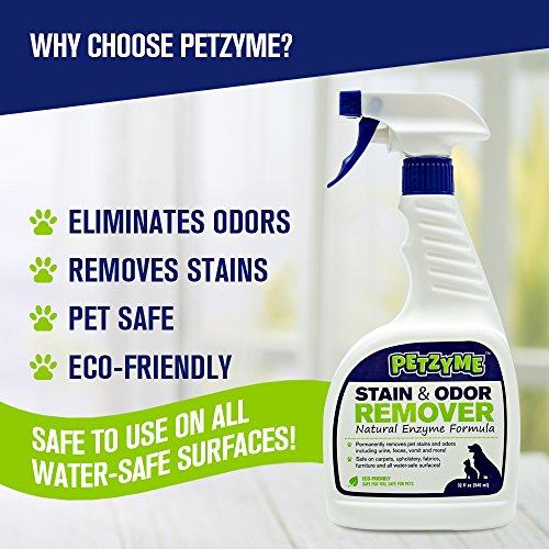 Petzyme Pet Stain Remover & Odor Eliminator, Enzyme Cleaner for Dogs, Cats Urine, Feces and More, 32 Fl Oz Spray by Petzyme