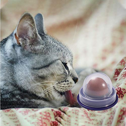 POPETPOP 3Pcs Catnip Energy Ball Masticar Juguetes Cat Treat Nutrición Gel Candy Snacks para Gatitos Gatos Juego Interior (Sabor Original Sabor a Salmón Sabor a Atún)