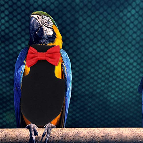 POPETPOP Traje de Vuelo de Loro pañal de pájaro - Ropa de pájaro Ropa de piloto de pájaro Creativa con Forro Impermeable Mascota pájaro Guacamayo cacatúa Ropa Halloween-Negro