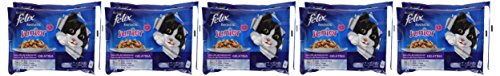 Purina Felix Fantastic comida para gato Junior Selecciones Favoritas 10 x [4 x 100 g]
