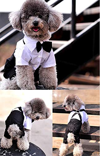 QiCheng & LYS Ropa para Perros Traje Elegante con Estilo de Corbata de moño, Camisa de Esmoquin Formal con Traje de Corbata Negra (XXL)
