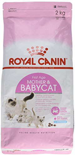 Royal Canin Comida para gatos Babycat 2 Kg
