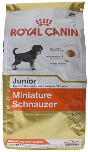 Royal Canin Comida para perros Schnauzer Mini Junior 1.5 Kg
