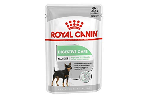 ROYAL CANIN Digestive Care Paté para Perros Comida Húmeda, Caja Completa 12 x Sobres 85 gr