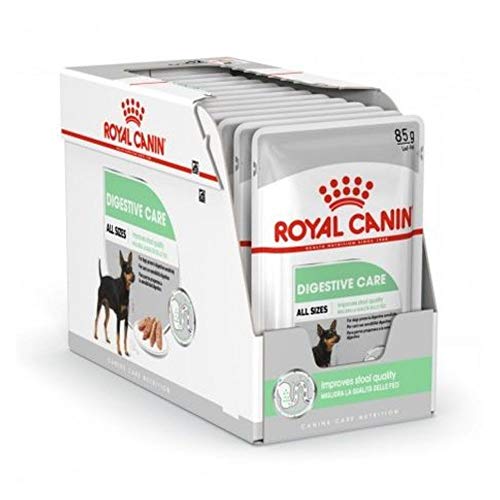 ROYAL CANIN Digestive Care Paté para Perros Comida Húmeda, Caja Completa 12 x Sobres 85 gr