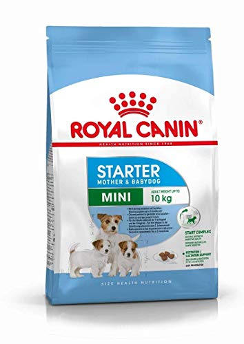 ROYAL CANIN Mother and Babydog Mini Starter - Comida para perros raza pequeña