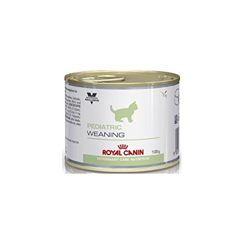 Royal Canin Pediatric Weaning Comida para Gatos - 12 x 195 gr