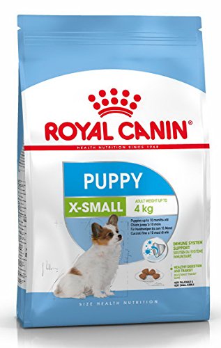 Royal Canin X-Small Junior - Comida para cachorros 0-10 meses, 0.5kg (pack de 2 x 500 gr)