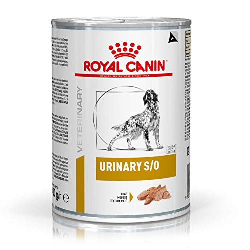 Royal Vet Canine Urinary S/O Caja 12X410Gr 4920 g