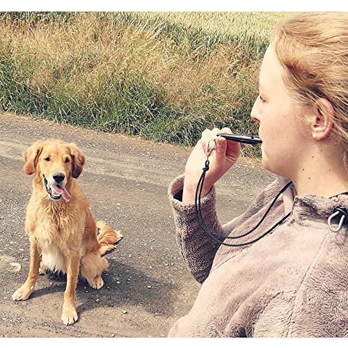 Silbato para perros Acme N.º 210,5 + cordón de silbato gratuito, original de Inglaterra, ideal para el entrenamiento canino, material robusto, frecuencia estándar, alta y de gran alcance (marrón chocolate)