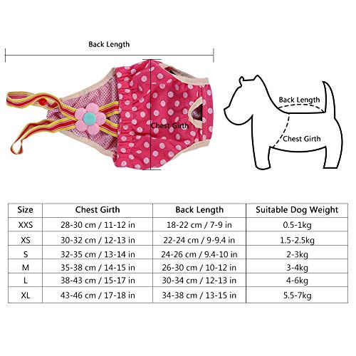 Smandy Pantalón Sanitario para Perros, 6 tamaños Perro Hembra Perrito Perrito Pañal pañal Calzados Sanitarios fisiológicos Pantalones de lencería de Liga Masculina para Perros pequeños y medianos(XL)
