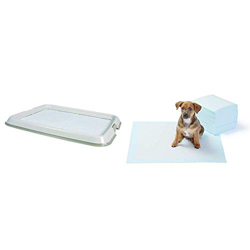 Trixie WC Cachorros, Plástico, 49x41 cm & AmazonBasics - Toallitas de Entrenamiento para Mascotas (tamaño Regular, 50 Unidades)