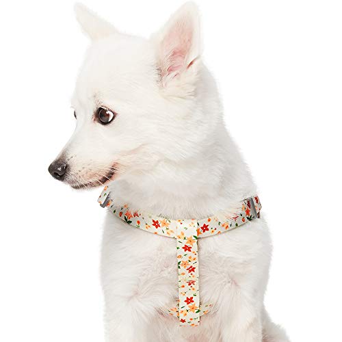 Umi. by Amazon - Made Well - Arnés para perros con estampado de flores M, contorno del pecho 51-66 cm, arneses ajustables para perros (marfil)
