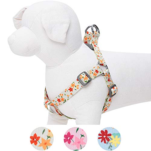 Umi. by Amazon - Made Well - Arnés para perros con estampado de flores M, contorno del pecho 51-66 cm, arneses ajustables para perros (marfil)