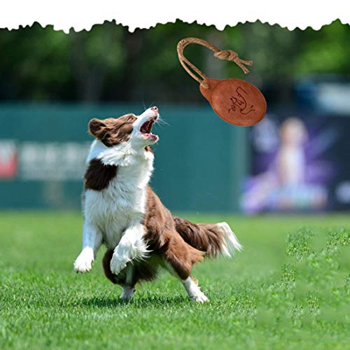 XIAO HUI Frisbee Perro Dedicado Grande Perro Entrenamiento Frisbee Pet Biting Molar Interactivo Entrenamiento Juguete Marrón