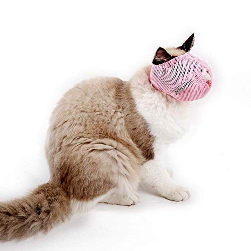 YONFAN Bozal para Gatos, Malla, Respirable, para Gatos, Gatitos, Anti mordida y masticación con Velcro Ajustable