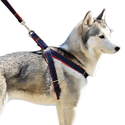 47 cm Longitud perro arnés correa, Dawn ajustable y resistente Denim perro correa collar para entrenamiento Walking Running, rescate no-pull correa cadena de cuerda para mascotas