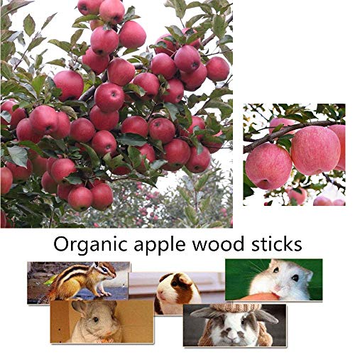 Apple Sticks Pet Chew Toys Pastel de Hierba Natural Comestible Molar Dientes Grinding Juguete para Conejos, Loros, Gerbil, Ardilla, Chinchillas, hámsters, cobayas