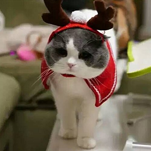 beiguoxia Navidad Disfraz mascotas perro gato alce ciervo sombrero Cap Party Cute Headwear