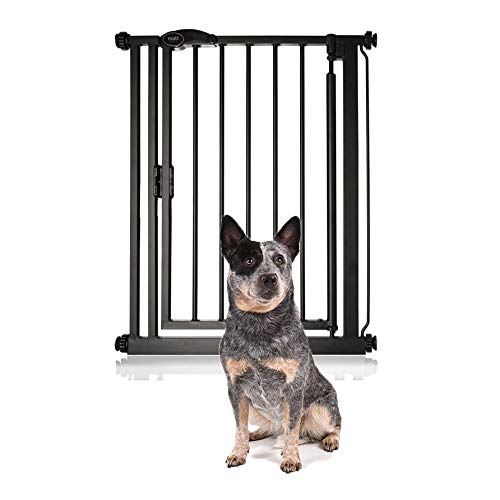 Bettacare - Puerta para mascotas (cierre automático, 61-66,5 cm), color negro mate