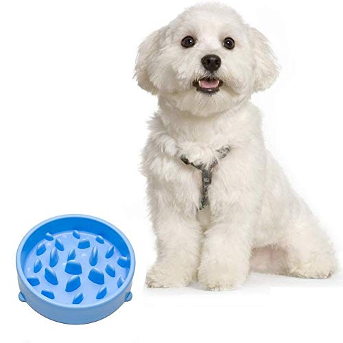 Binnan Tazón Plato de Comida para Mascotas Perro Gato, Comida Lenta Cuenco, Azul