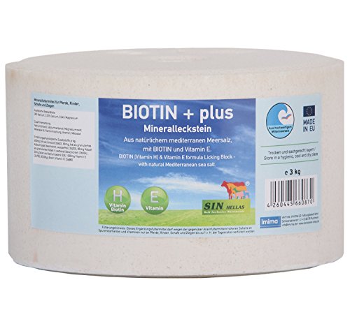 Biotina + Plus Juego de 4 Mineral Piedra de fuga, 4 x 3 kg
