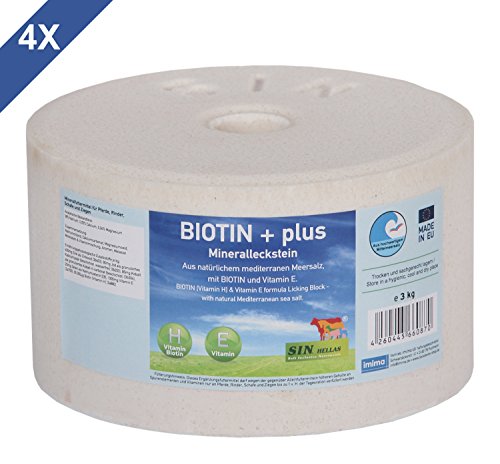 Biotina + Plus Juego de 4 Mineral Piedra de fuga, 4 x 3 kg