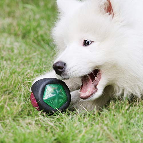 BOENTA Juguetes Interactivos Perro Mordedor Perro Suave Juguetes para Masticar Molar Perro de Juguete Pet Interactivo Bola Perro Bolas Duro