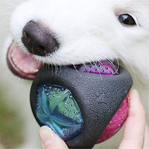 BOENTA Juguetes Interactivos Perro Mordedor Perro Suave Juguetes para Masticar Molar Perro de Juguete Pet Interactivo Bola Perro Bolas Duro