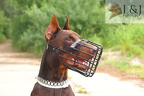 Collar para perros de metal cromado, semi-estrangulador, resistente