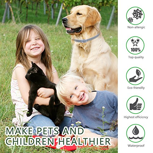 Dewel 2pcs Collar Antiparasitos Perros/Gatos Contra Pulgas,Garrapatas y Mosquitos,Tamaño Ajustable e Impermeable para Mascota Pequeño Mediano Grandes