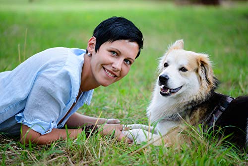 dogflex Suplemento nutricional articulaciones para perros, color verde lipp caracola polvo perro, protección contra artrosis | Glucosamina, Chon droitin, MSM, harpagófito hochdosiert, 150 pastillas