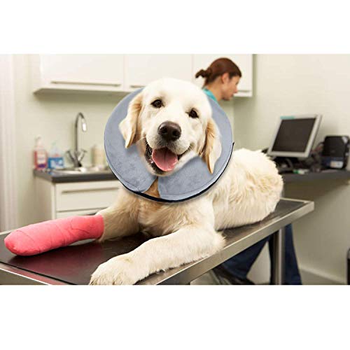 Ducomi Collar de Recuperación Inflable para Perros, Cono de Cuello Isabelino Ajustable para Mascotas Recuperación de Cirugía o Heridas - Previene la Infección por Arañazos y Picaduras (Gris, XS)
