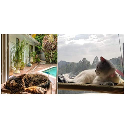 Ducomi sunnyseat – Hamaca de Gato para Ventanas con ventosas Fuertes y Resistentes (31 x 56 cm) Carga Máxima 15 kg – Novedad 2018 – fácil instalación