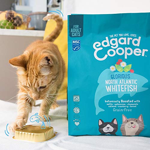 Edgard & Cooper pienso Gatos Adultos SIN Cereales. Comida Natural con Pescado Blanco 100% Fresco con certificación MSC, 1.75kg. con antioxidantes Naturales. Apto para Gatos esterilizados