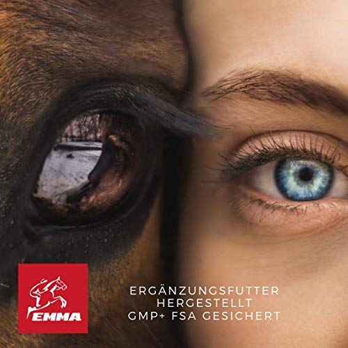 Emma - Champú para perros y gatos, 2 unidades de 250 ml