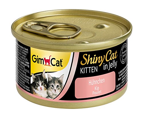 GimCat ShinyCat in Jelly Kitten – Comida para gatos: con trocitos extrapequeños en gelatina, indicada para gatitos jóvenes a partir de las 8 semanas – Sin azúcar añadido – Pollo – 24 latas (24 x 70 g)