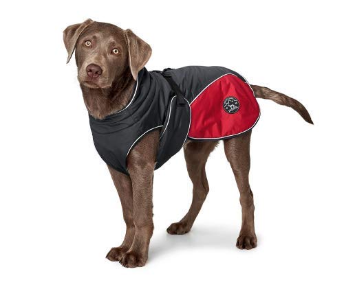 HUNTER - Abrigo para Perro (40 cm), Color Antracita y Rojo